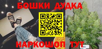 шишки Балашиха