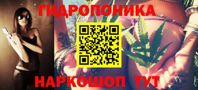 шишки Балашиха