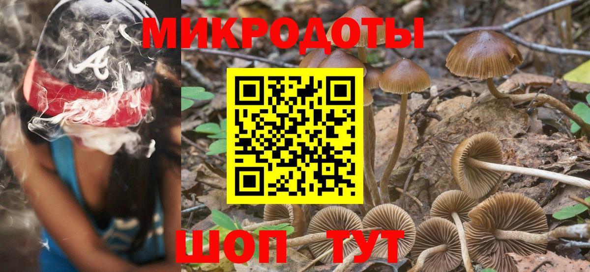 Псилоцибиновые грибы мухоморы Димитровград