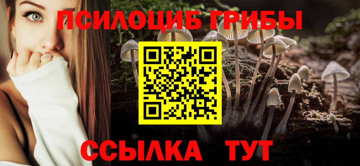 Галлюциногенные грибы ЛСД  Псилоцибиновые грибы MAGIC MUSHROOMS  Димитровград  Вход с VPN 