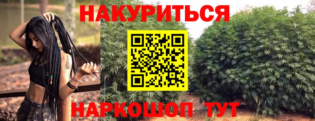 Димитровград  Бошки Шишки Bruce Banner  Вход с VPN  Канабис тримм  Каннабис планчик  Канабис планчик 